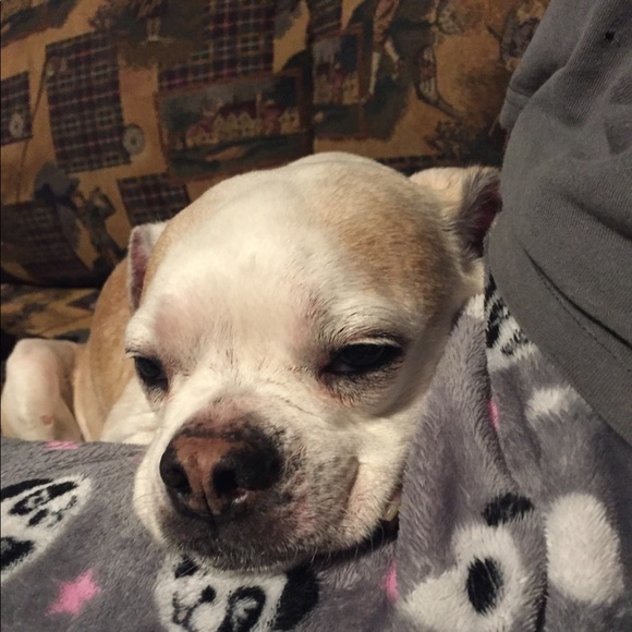 mia_bob